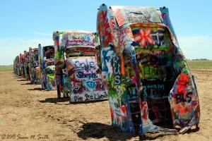 Caturday at Cadillac Ranch on Route 66